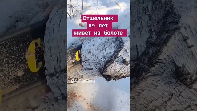 Отшельник в болоте