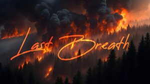 Прифронтовая территория Мещера на линии Огня #drone #cinematic #history #fire #view #dji #nature