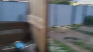 НЕМЕЦКАЯ ОВЧАРКА / Я В ШОКЕ😲 / РЕАКЦИЯ СОБАКИ 🐕🦺НА РОДНОЙ ЯЗЫК!