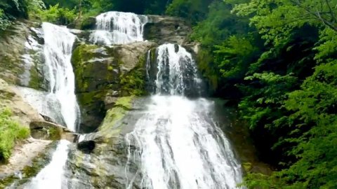 DADAXON XASANOV Jannat ekan quchoqlaring