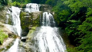 DADAXON XASANOV  Jannat ekan quchoqlaring