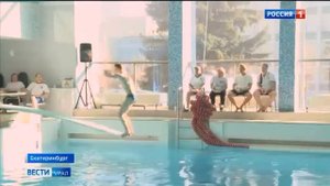 Первенство по прыжкам в воду