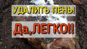 Удаляем пень! Легко!