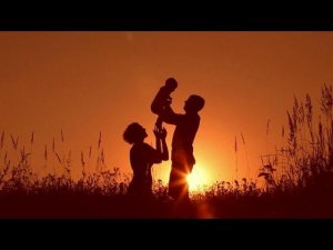 Открыли и закрыли зимний сезон 2023/2024 катания на коньках.