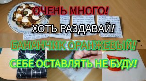 24.09.2023 НЕ НАЕЛИСЬ!🤦♀️ОЛЕНЬИ РОЖКИ!🦌ЗАТО СКРЫВАЕТ ПУЗИКО_ПЛАТЬЕ РУБАШКА_52рр БОЛЬШЕМЕР!