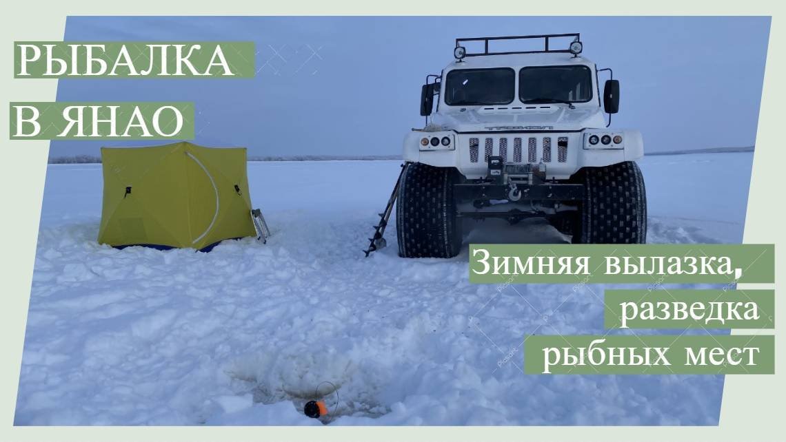 Отдых на Ямале. Попробовали порыбачить #рыбалка #янао #полярныйурал #зимняяловлярыбы #крайнийсевер