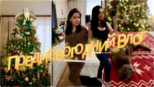 Украсила Новогоднюю Елку. Идеи подарков на Новый год. Фаберлик🔥ОДЕЖДА С WILDBERRIES 🔥