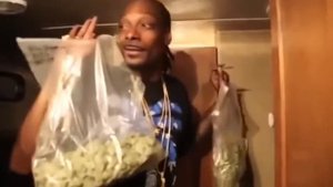 снуп дог нанананана нана нанана