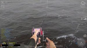 НАКОНЕЦ ТО СОБРАЛ СБОРКУ!!| RR4 РР4, САЙРА, НОРВЕЖСКОЕ МОРЕ