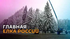 Главная елка России