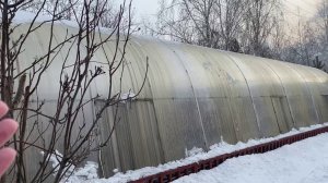 Мою теплицу 17.02.2021.