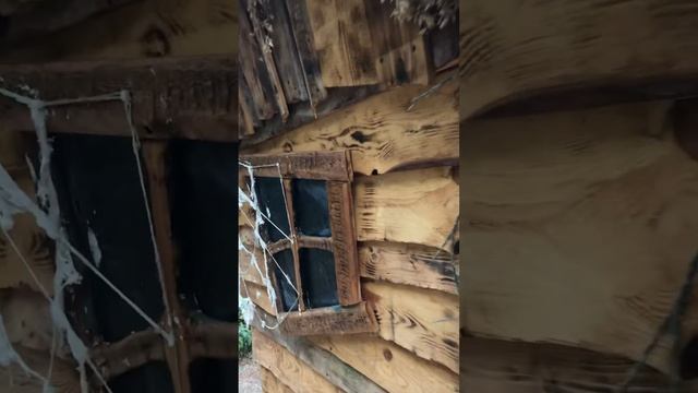 Крым Гурзуф Пушкин 🌳 Дуб