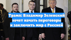 Трамп: Владимир Зеленский хочет начать переговоры и заключить мир с Россией