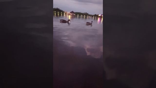 Чудесный вечер у озера. смотреть онлайн