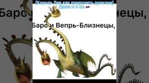 Кто ты по знаку зодиак из "Как приручить дракона"