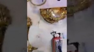 Люстра из Эмиратов по себестоимости