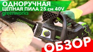 Одноручная пила аккумуляторная цепная 25 см Greenworks 40V GD40TCS, бесщёточная