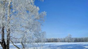 С наступающим новым годом.