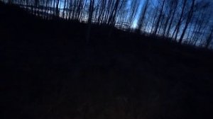 Охота на вальдшнепа с манком