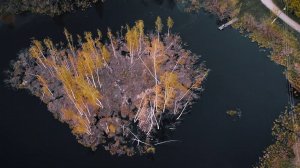 Бункер | Bunker | Mavic Mini | Color  grade