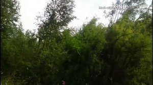 Авторская песня - Я и ты