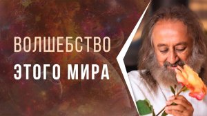 Волшебство этого мира