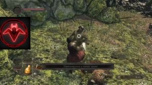 Dark Souls 2 Полное прохождение | Часть № 1 (Вступление, выбор класса, Лес павших королей)