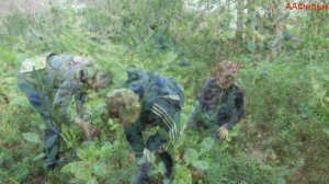 По островам Белого моря. Часть двенадцатая.