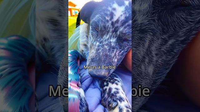 Daisy as a Barbie смотреть онлайн