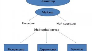 Биология. Сабақ №4 (1) Көмірсулар мен липидтер.