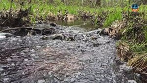 Подготовка Bike-Off-Road 2024