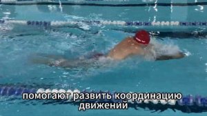 Батт брасс ноги дельфин