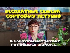 БЕСПЛАТНЫЕ СЕМЕНА СОРТОВЫХ ПЕТУНИЙ!