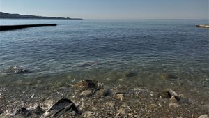 Дикие пляжи Хосты