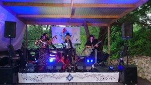 ПриЛичные Люди - Кошки (с #ХардБардами) МузИнжФест 2024