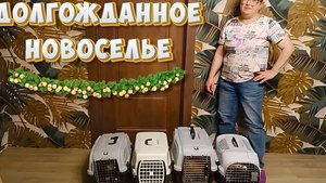 Долгожданное новоселье.