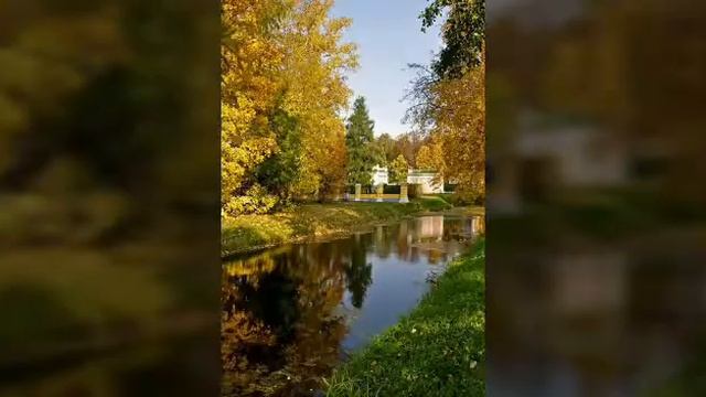 Віршик для дітей НАТАЛЯ ЗАБІЛА 🍁🍂🍃 ЖОВТЕНЬ