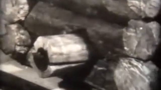 Древний Новгород  Учебный фильм