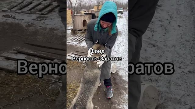 Наши волонтеры!!! ❤❤❤ #саратов #вдобрыерукисаратов #верностьсаратов