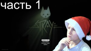 Прохождение Stray , игра про кота ?...Отличная графика! Часть 1