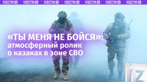 «С нами Бог!»: атмосферный ролик о казаках в зоне СВО взорвал Сеть