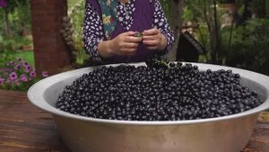 Kənd Həyatı. Discover How the REAL Grape Syrup Preparation in Azerbaijan!
