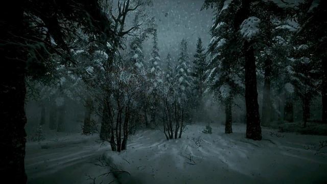 Красивый зимний лес с животными под звуки вьюги и зимнего ветра