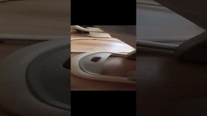 Электронные качели 2 в 1 Joie Serina, Portrait