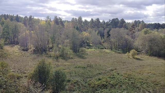 19 .09.2024 год. мой день Лайфстайл