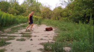 Тибетский мастиф дрессировка 10мес Байсан !!!