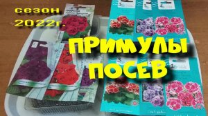 Примулы из семян. Почему не всходят семена? 2022г.