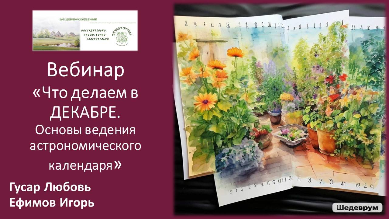 Что делаем в декабре. Основы ведения астрономического календаря. Гусар Любовь, Ефимов Игорь