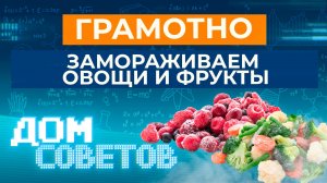 Грамотно замораживаем овощи и фрукты