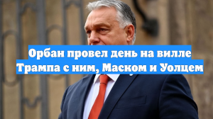 Орбан провел день на вилле Трампа с ним, Маском и Уолцем